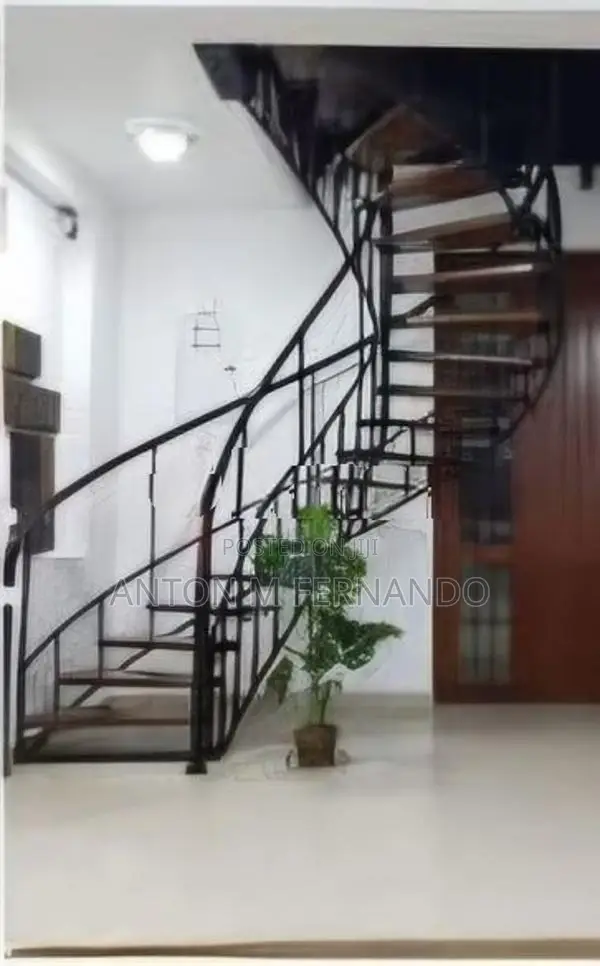 Iron Stair Case with Paramara Wood