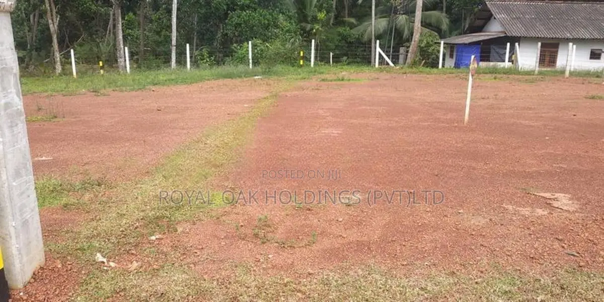 Land for Sale in Dagona