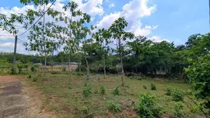 හොරණින් ඉඩමක්