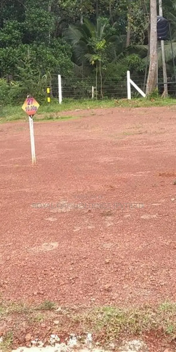 Land for Sale in Dagona