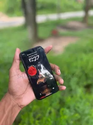 Apple iPhone 12 Pro (Used)