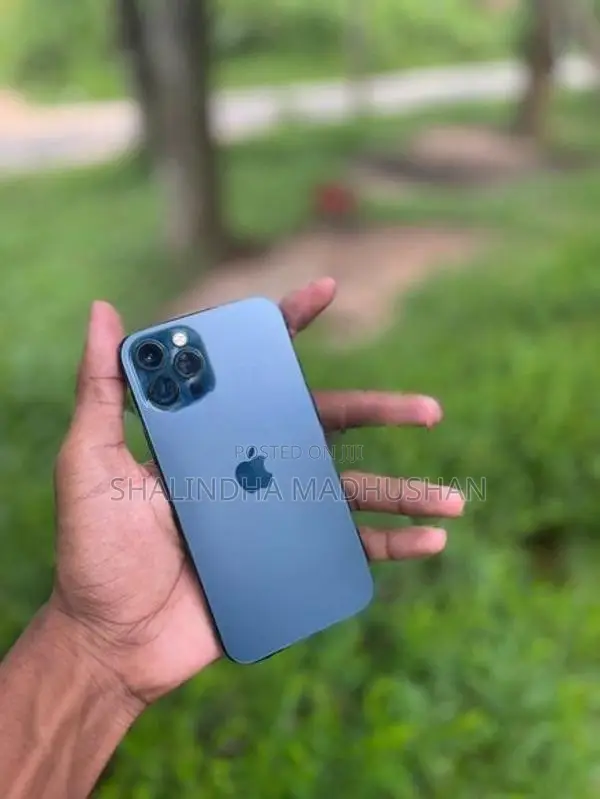 Apple iPhone 12 Pro (Used)