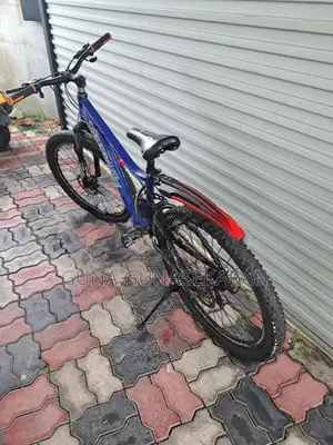 Kenton Bicycle