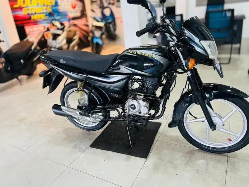 Bajaj Platina 2017