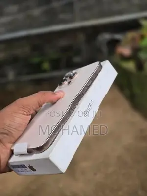 Apple iPhone 16 Pro Max 256GB (Used)