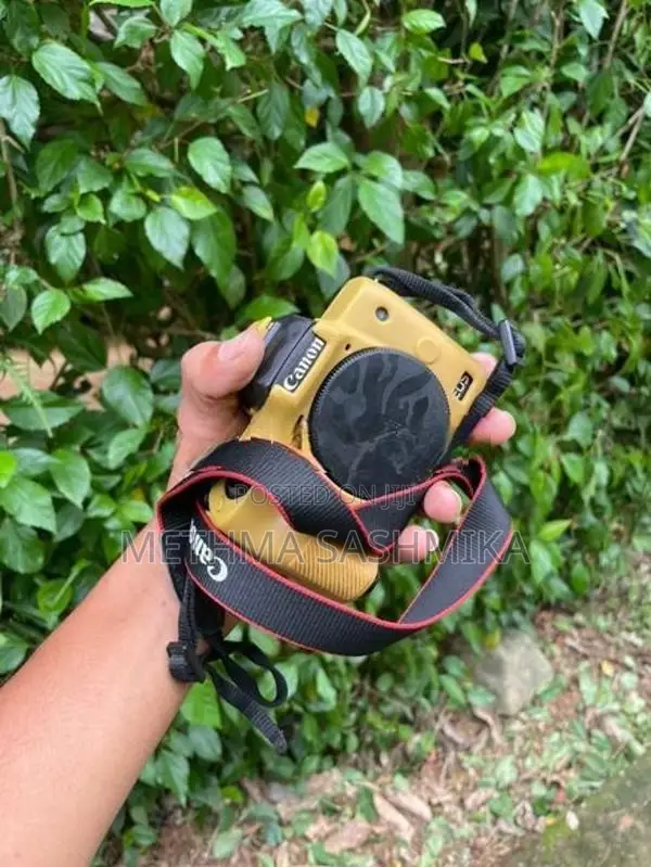 Canon m50 Camera