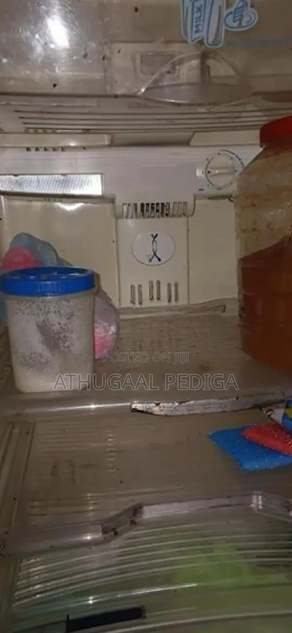 Singer Refrigerator
