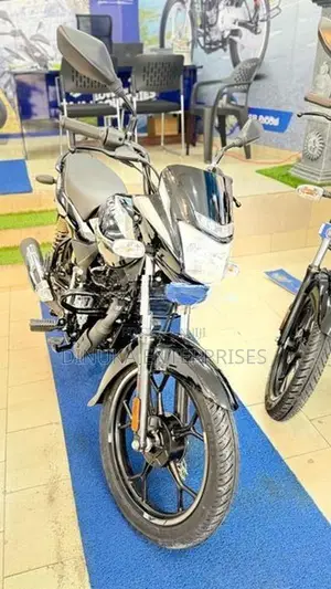 Bajaj Platina 100 ES 2026