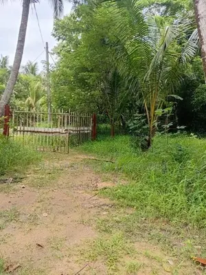Land For Sale In Narammala