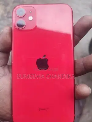 Apple iPhone 11 (Used)