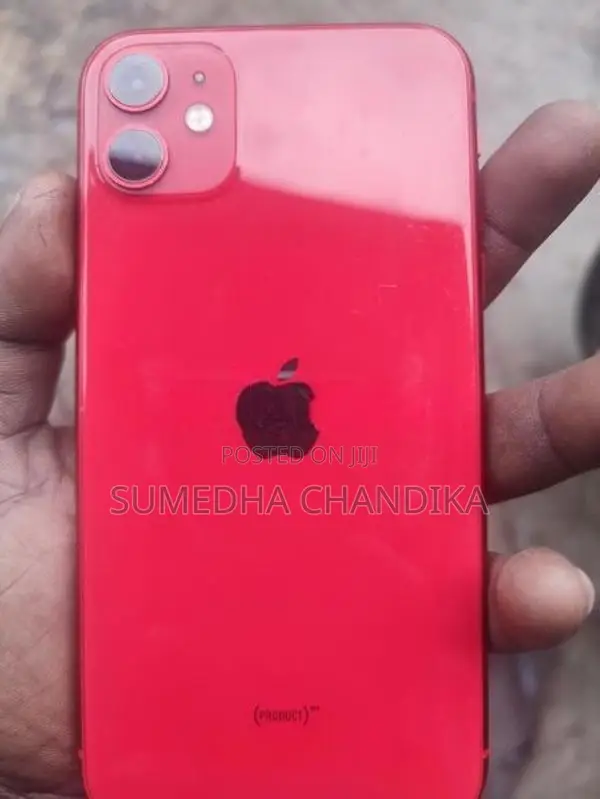 Apple iPhone 11 (Used)
