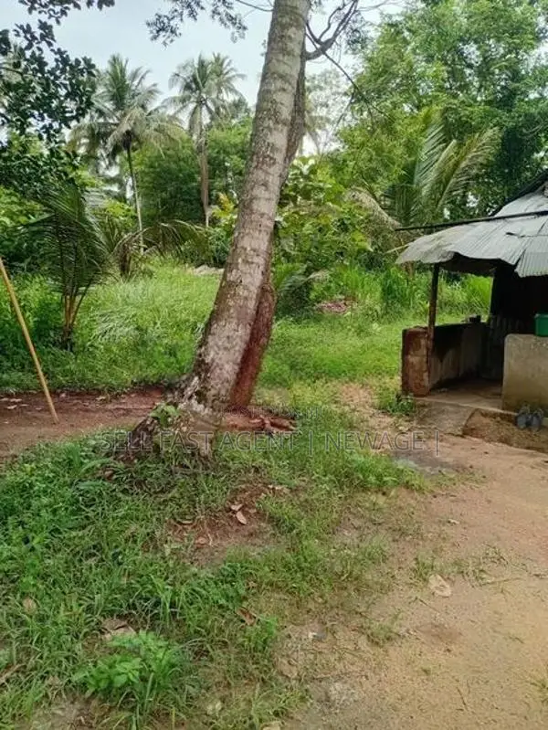 Land For Sale In Narammala