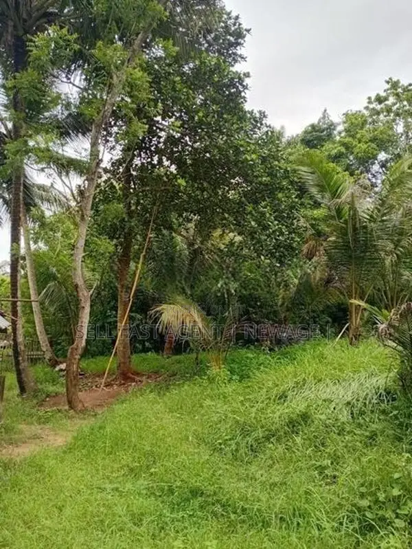 Land For Sale In Narammala