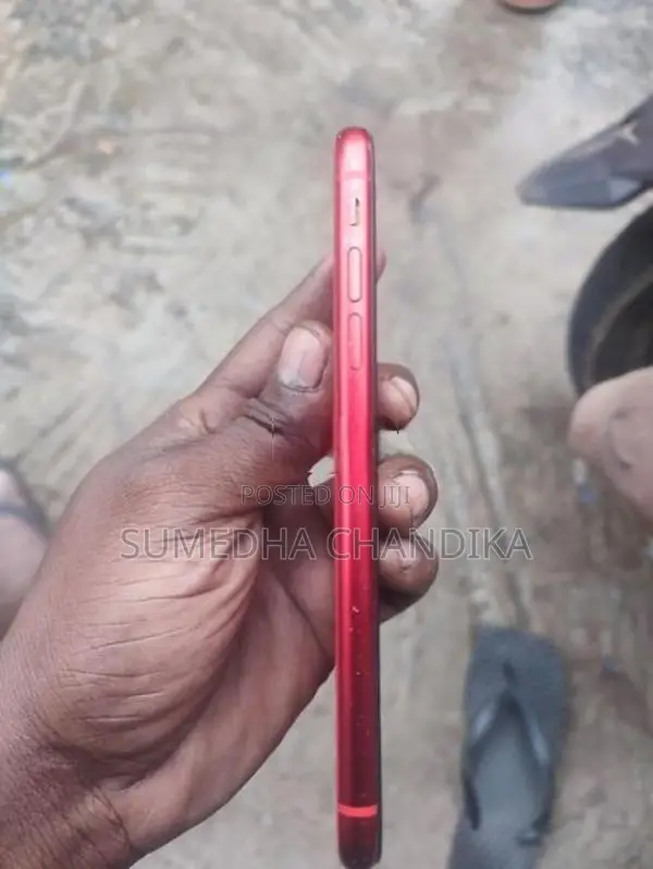 Apple iPhone 11 (Used)