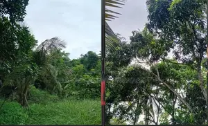Land For Sale In Narammala