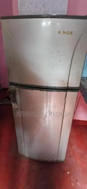 Singer Refrigerator