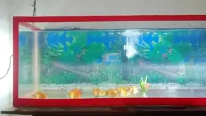 මාළු ටැංකියක්