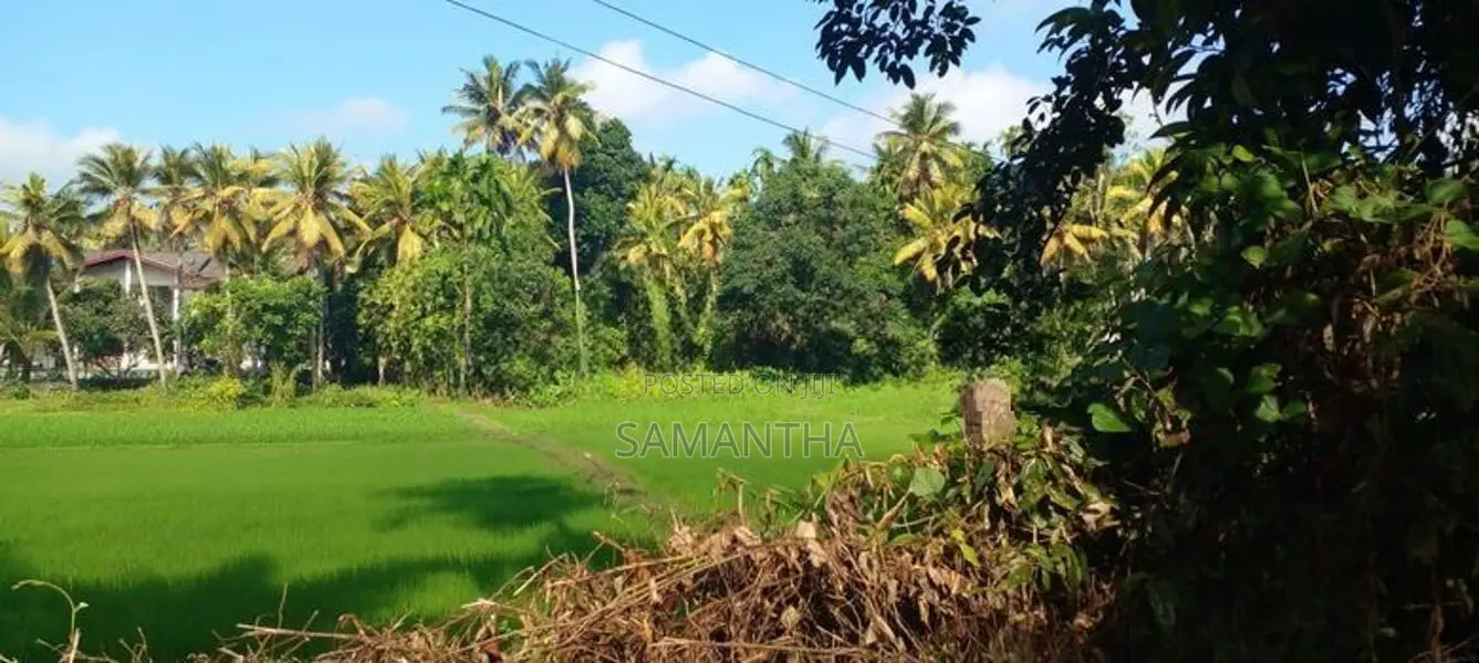 Battaramulla Paddy Field Facing Land for Sale