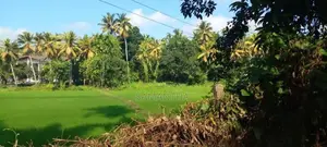 Battaramulla Paddy Field Facing Land for Sale