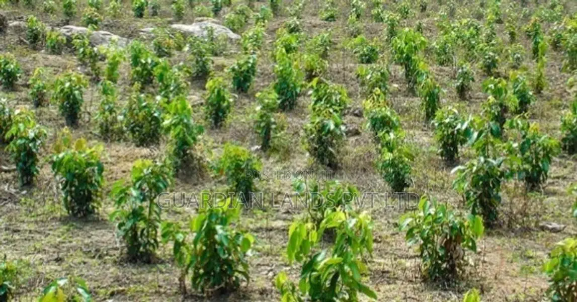 Land Plots For Sale In Horana Madurawala