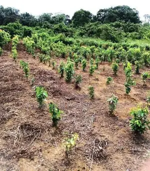 Land Plots For Sale In Horana Madurawala