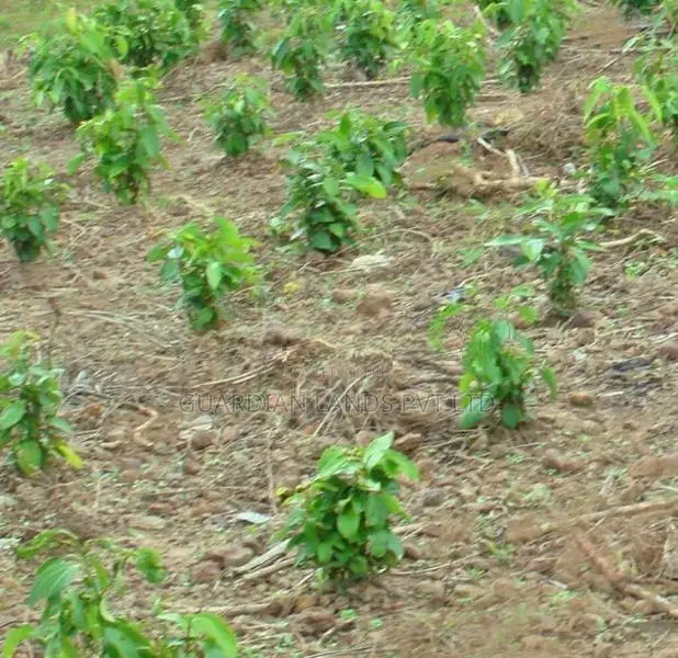 Land Plots For Sale In Horana Madurawala