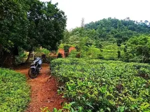 Land Plots For Sale In Horana Madurawala