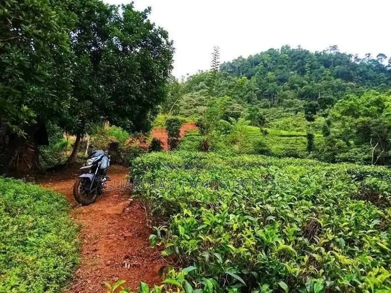 Land Plots For Sale In Horana Madurawala