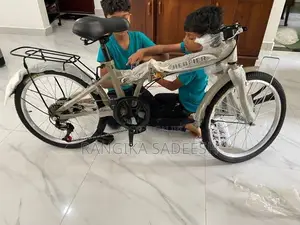Jiebeier Folding Bicycle