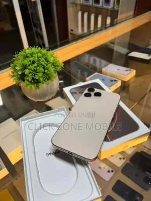 Apple iPhone 16 Pro Max 256GB (Used)