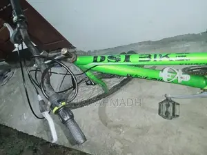 DSI bike