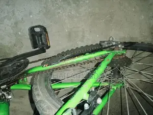 DSI bike