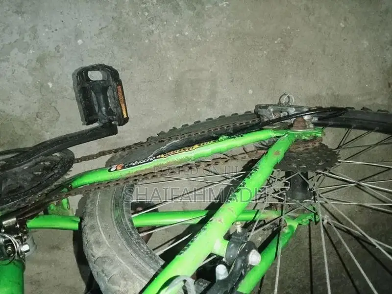 DSI bike