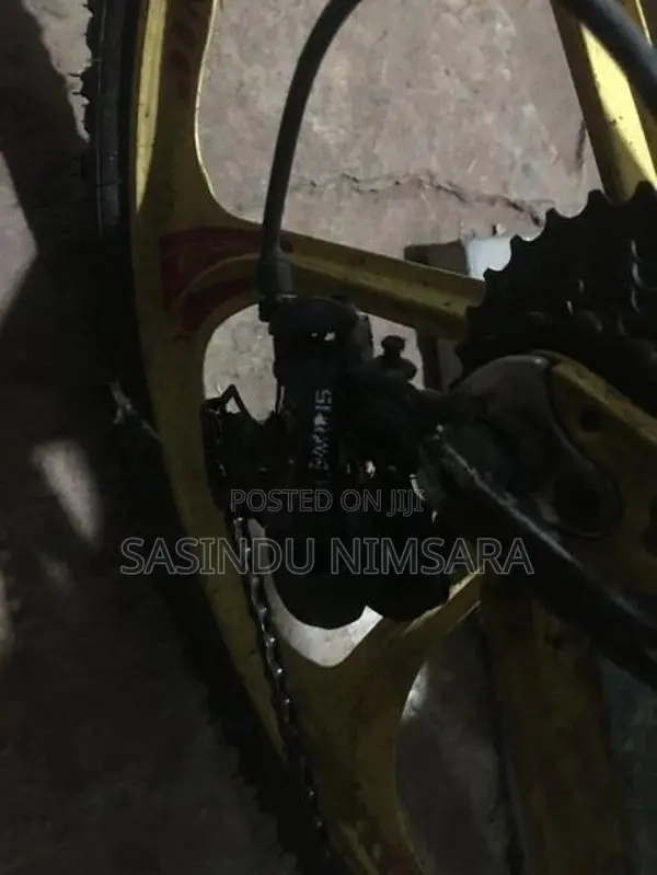 Bicycle