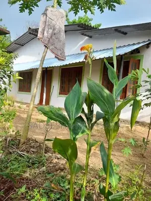 House for Sale Kumbaduwa