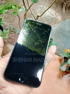 Apple iPhone 7 Plus (Used)