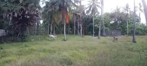 காணி விற்பதுக்கு கும்புறுமூலை