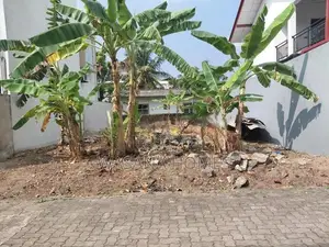 Super Land for Sale Boralesgamuwa