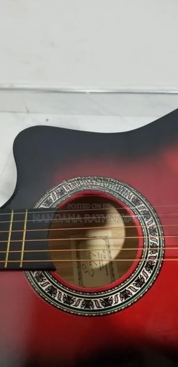 Guitar
