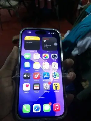 Apple iPhone 15 (Used)