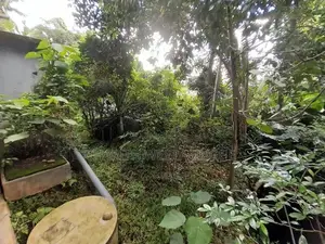 Land for Sale in Piliyandala