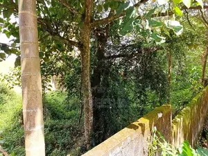 කොට්ටාව - මාකුඹුර ඉඩමක් විකිණීමට