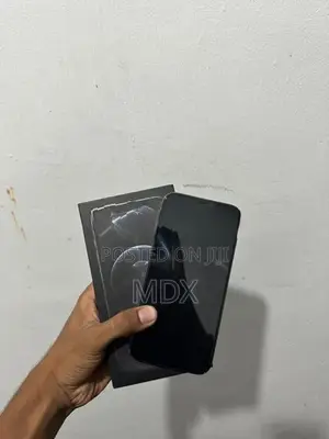 Apple iPhone 12 Pro Max (Used)