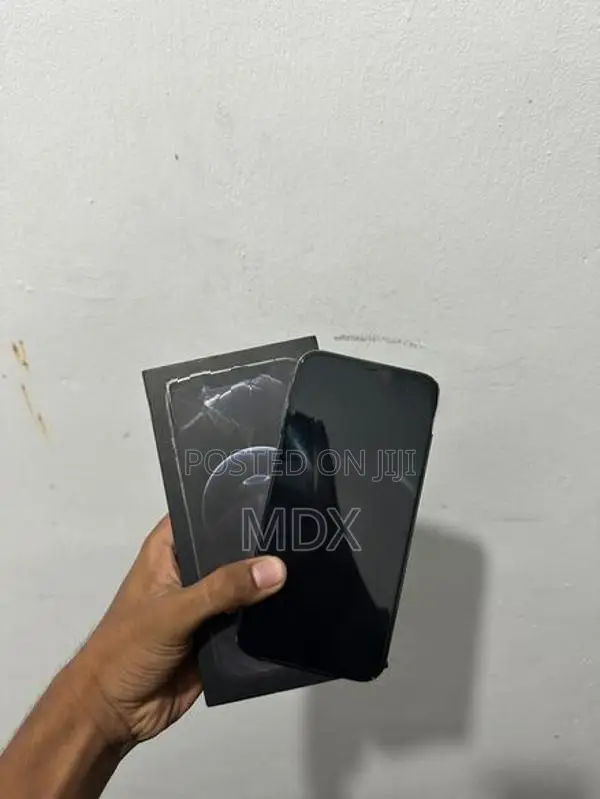Apple iPhone 12 Pro Max (Used)