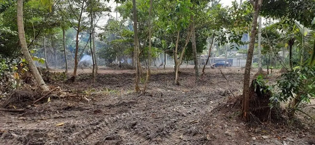 Land for Sale at Polhena, Madiha, Matara
