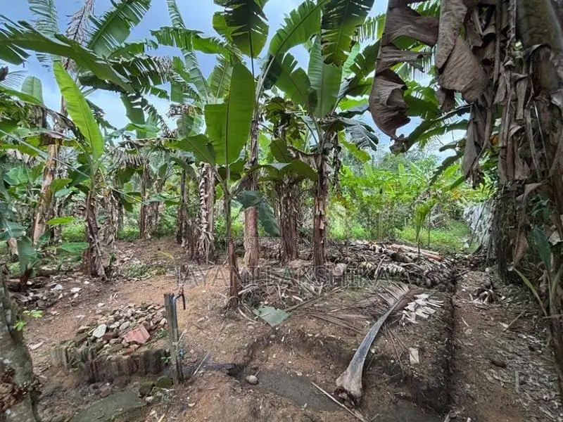 Land for Sale in Horana