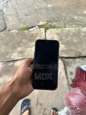 Apple iPhone 12 Pro Max (Used)