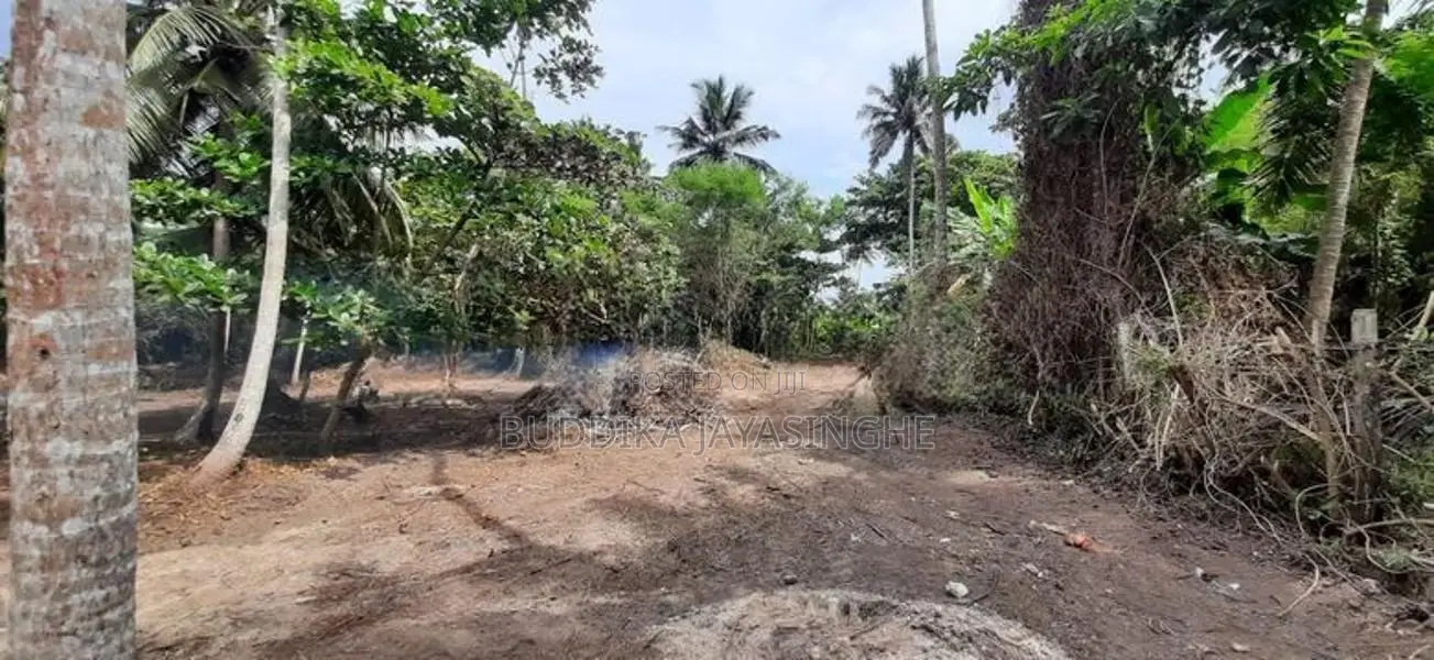 Land for Sale at Polhena, Madiha, Matara