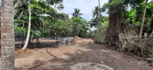 Land for Sale at Polhena, Madiha, Matara