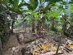 Land for Sale in Horana